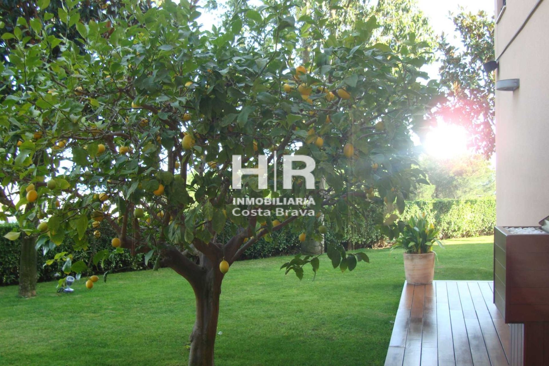 Venda - Chalet - Calella - Valldenguli