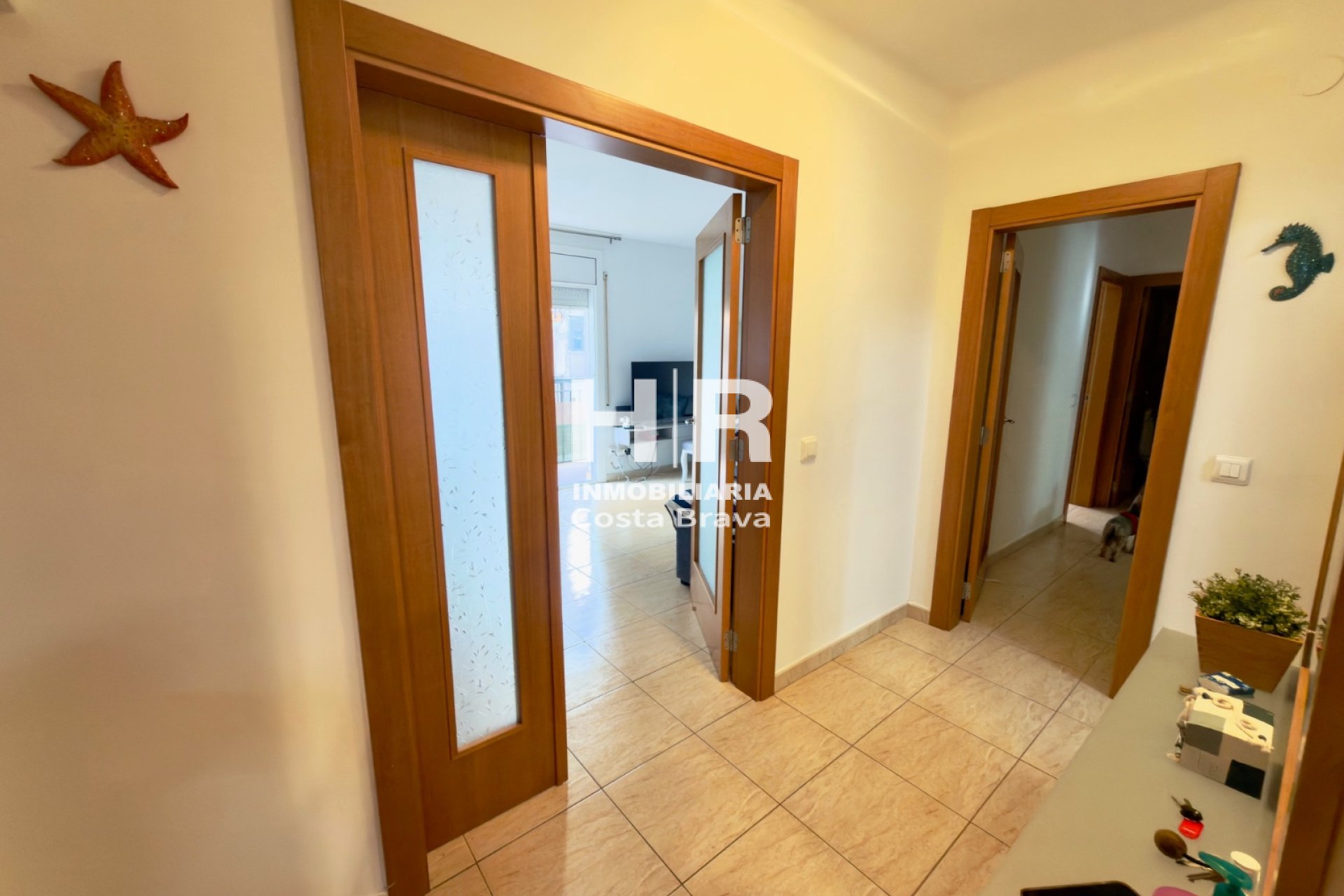 Venta - Apartamento / piso - Sant Antoni De Calonge