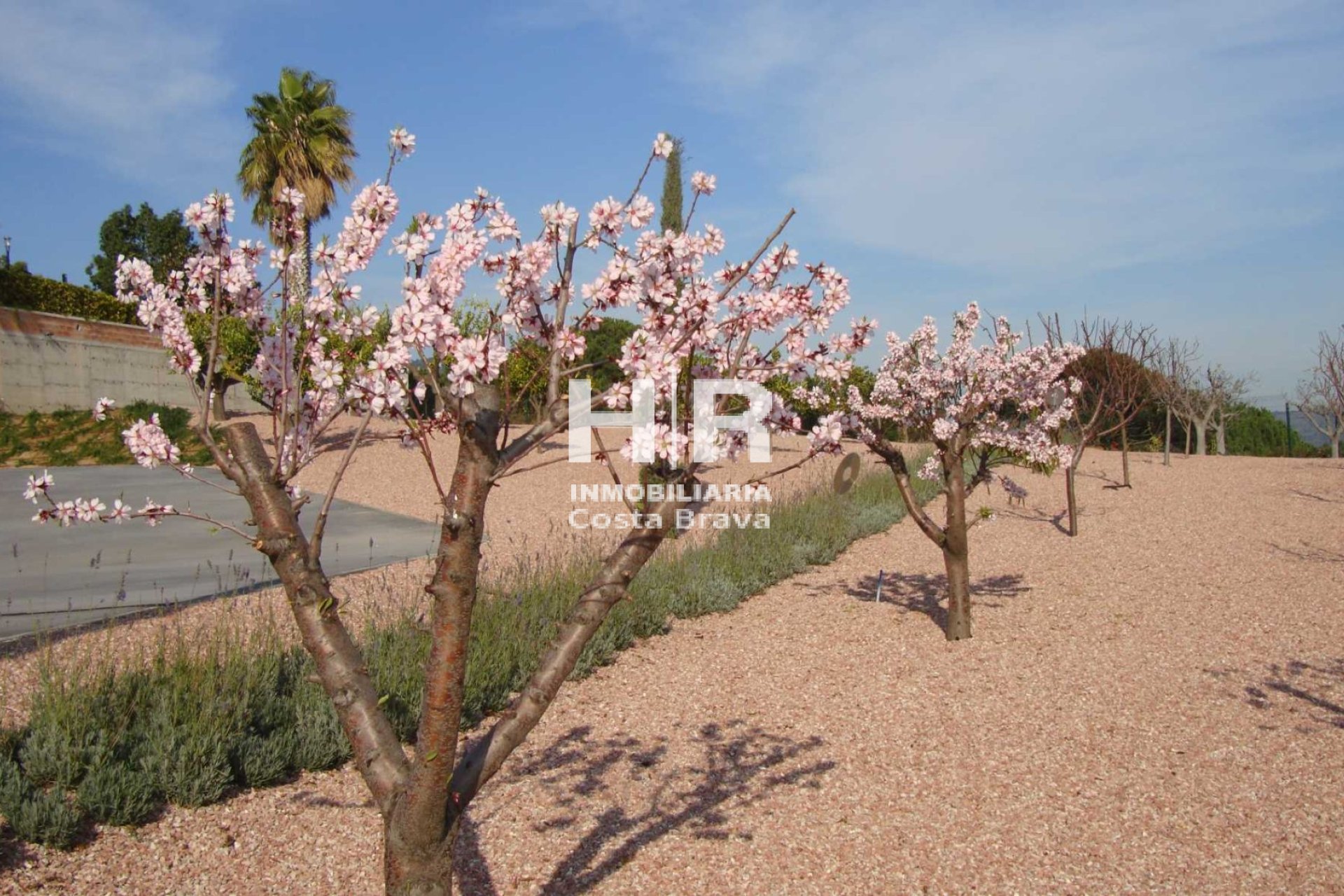 Vente - Chalet - Calella - Valldenguli