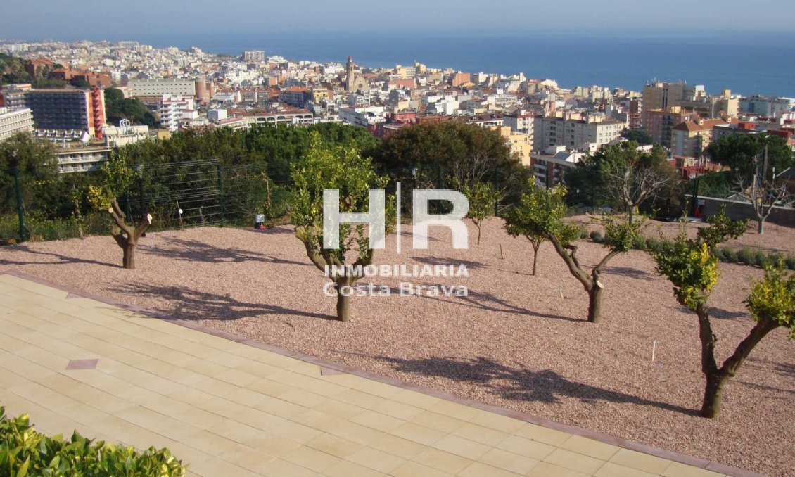 Venta - Chalet - Calella - Valldenguli