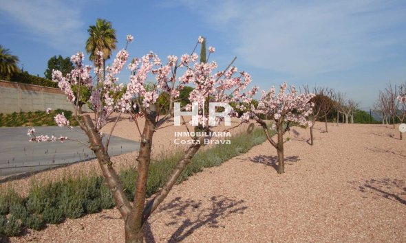 Venta - Chalet - Calella - Valldenguli