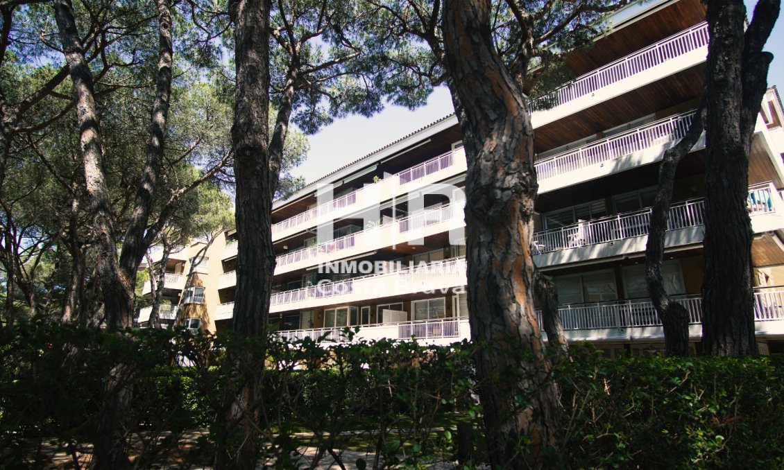 Venta - Apartamento / piso - Castell-Platja d'Aro - Centro