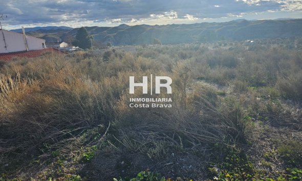 Venta - Casa cueva - Benamaurel - Puente Arriba