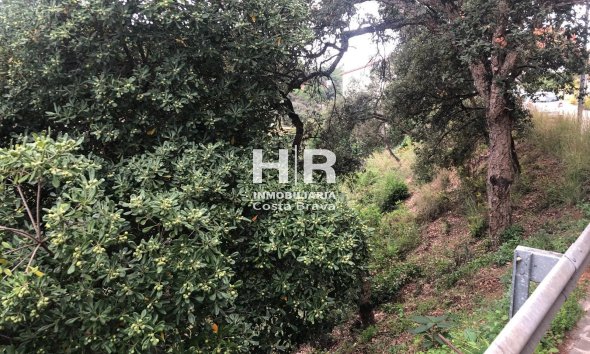 Venta - Parcela / Terreno - Lloret de Mar